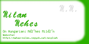 milan mehes business card